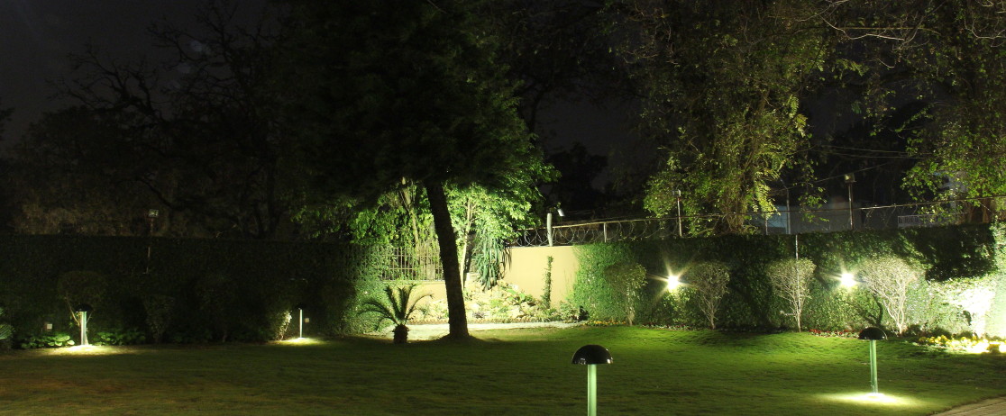 media_11_IMG_6927hy-1116x462.jpg